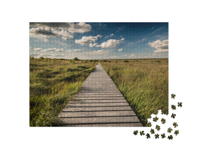 Wide Landscape with Path... Jigsaw Puzzle with 1000 pieces