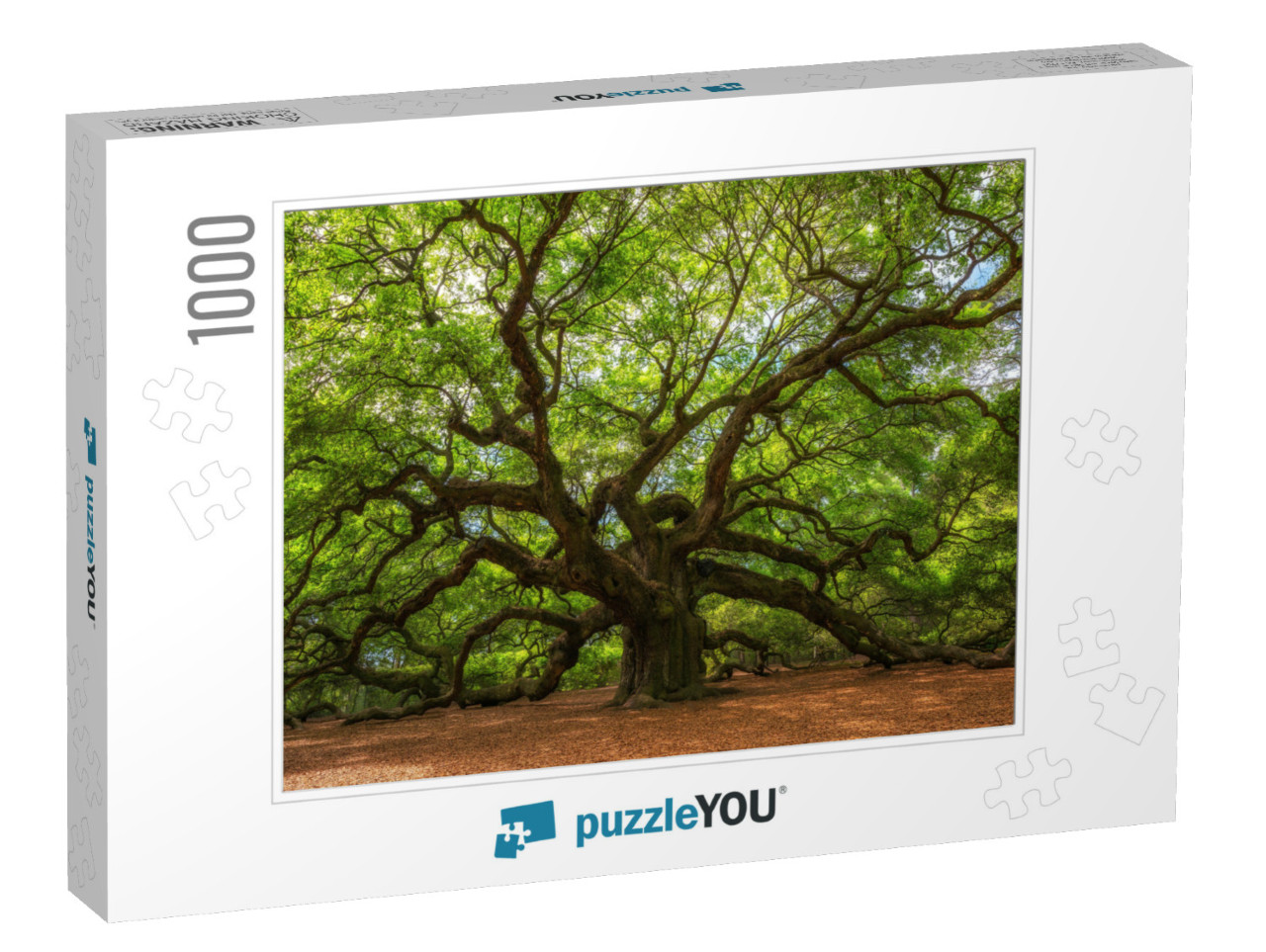 Angle Oak Tree in Johns Island, South Carolina... Jigsaw Puzzle with 1000 pieces