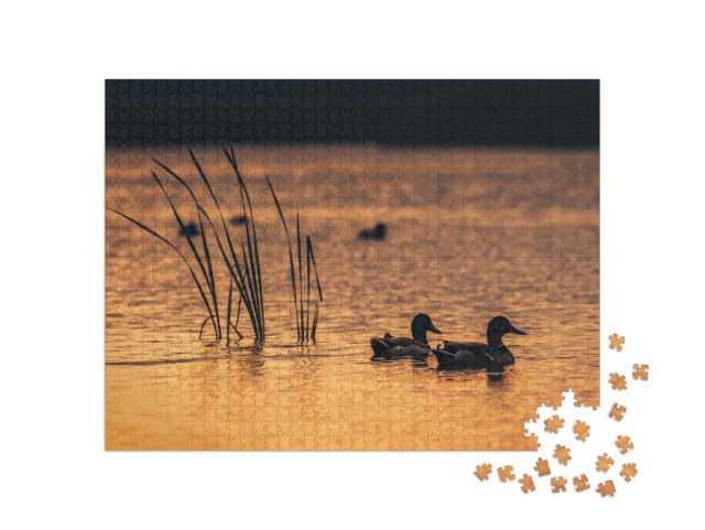 Silhouette Look on the Ducks in the Lake Water During the... Jigsaw Puzzle with 1000 pieces