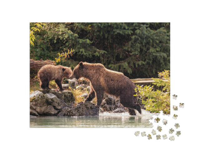 Mother Bear Fishing with Cubs in Chilkoot River, Haines A... Jigsaw Puzzle with 1000 pieces