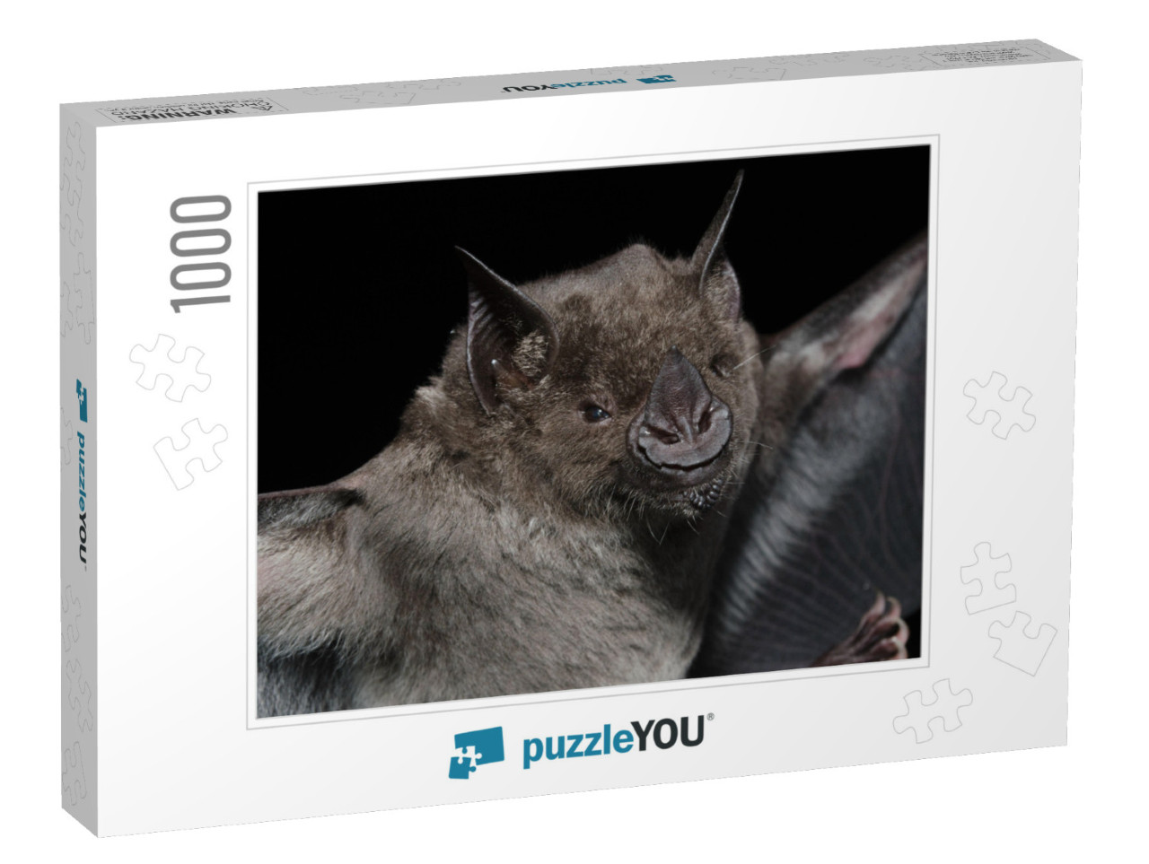 A Brazilian Bat, the Greater Spear-Nosed Bat Phyllostomus... Jigsaw Puzzle with 1000 pieces