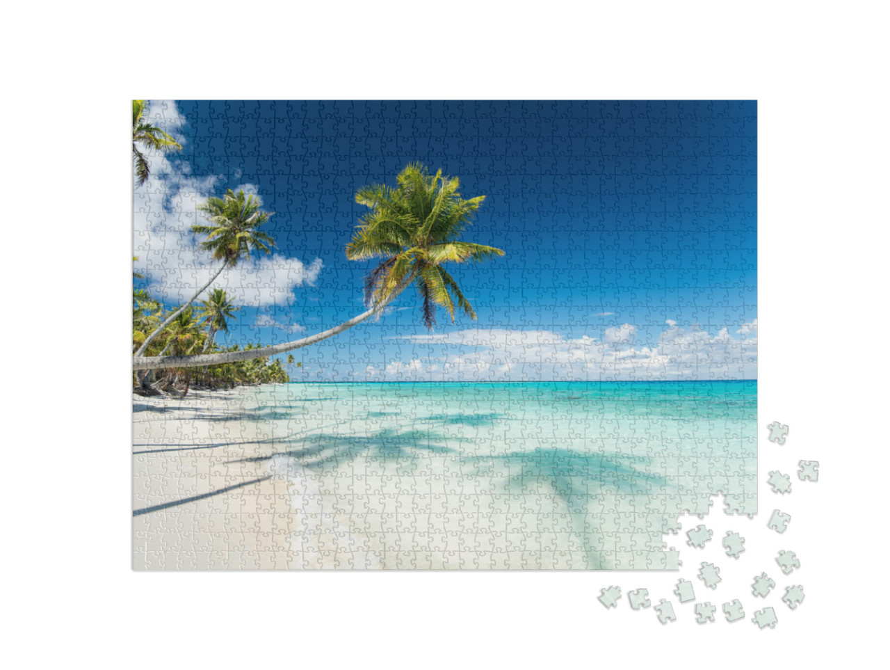 Tropical Scenery View on Pk9 Beach of Fakarava in French... Jigsaw Puzzle with 1000 pieces