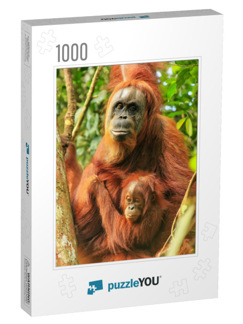 Female Sumatran Orangutan with a Baby Sitting on a Tree i... Jigsaw Puzzle with 1000 pieces