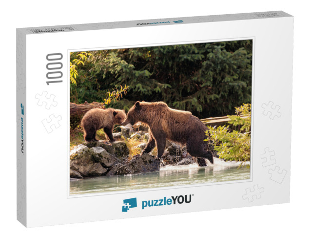 Mother Bear Fishing with Cubs in Chilkoot River, Haines A... Jigsaw Puzzle with 1000 pieces