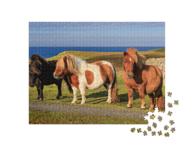 Three Windswept Shetland Ponies, a World Famous Unique &... Jigsaw Puzzle with 1000 pieces