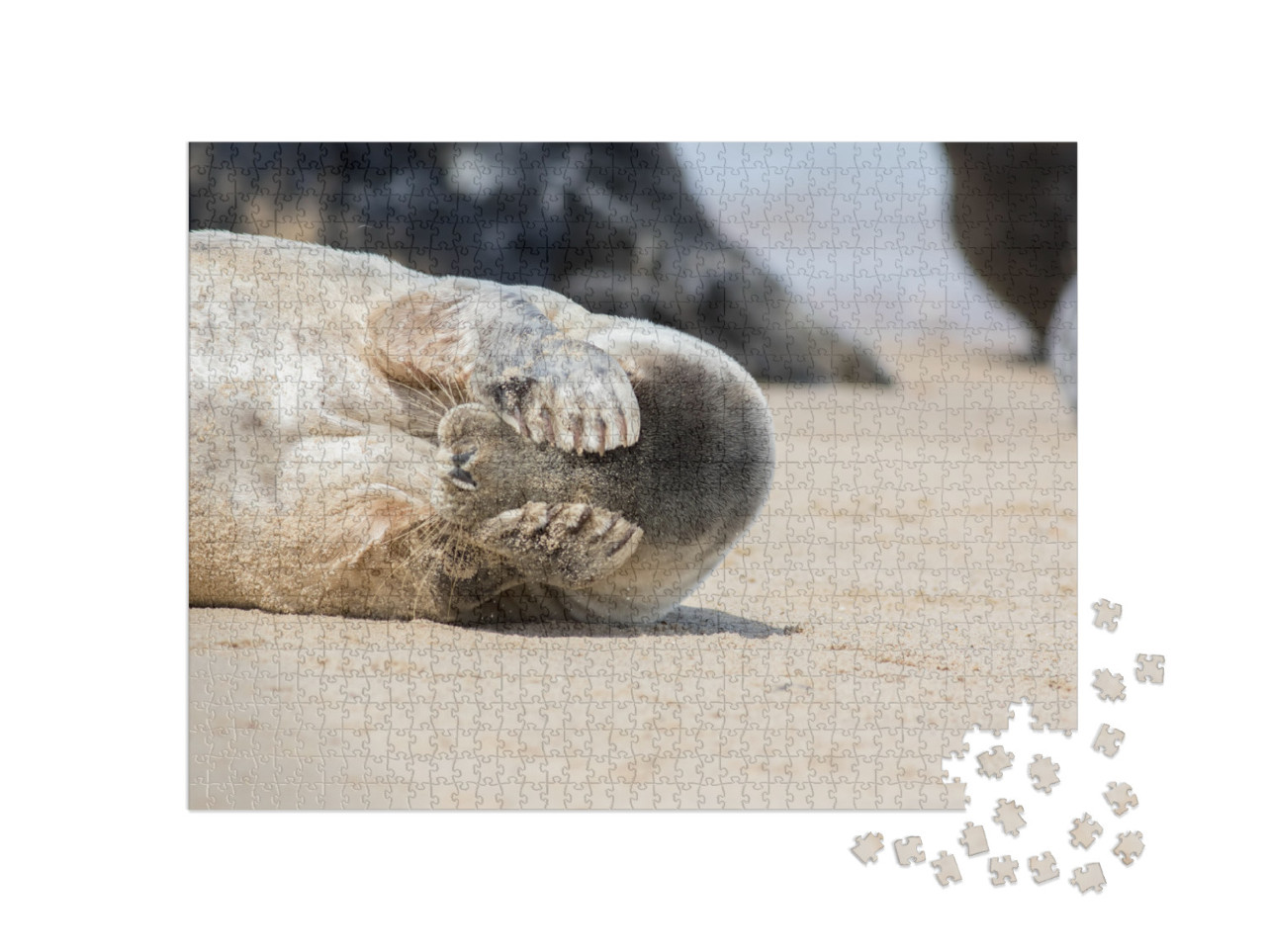 Peekaboo. Cute Seal Covering Its Eyes. Funny Animal Meme... Jigsaw Puzzle with 1000 pieces