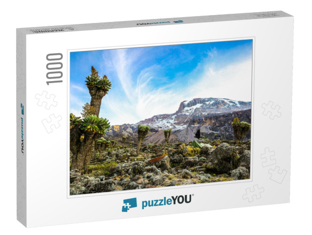 Camping on Mount Kilimanjaro in Tents to See the Glaciers... Jigsaw Puzzle with 1000 pieces