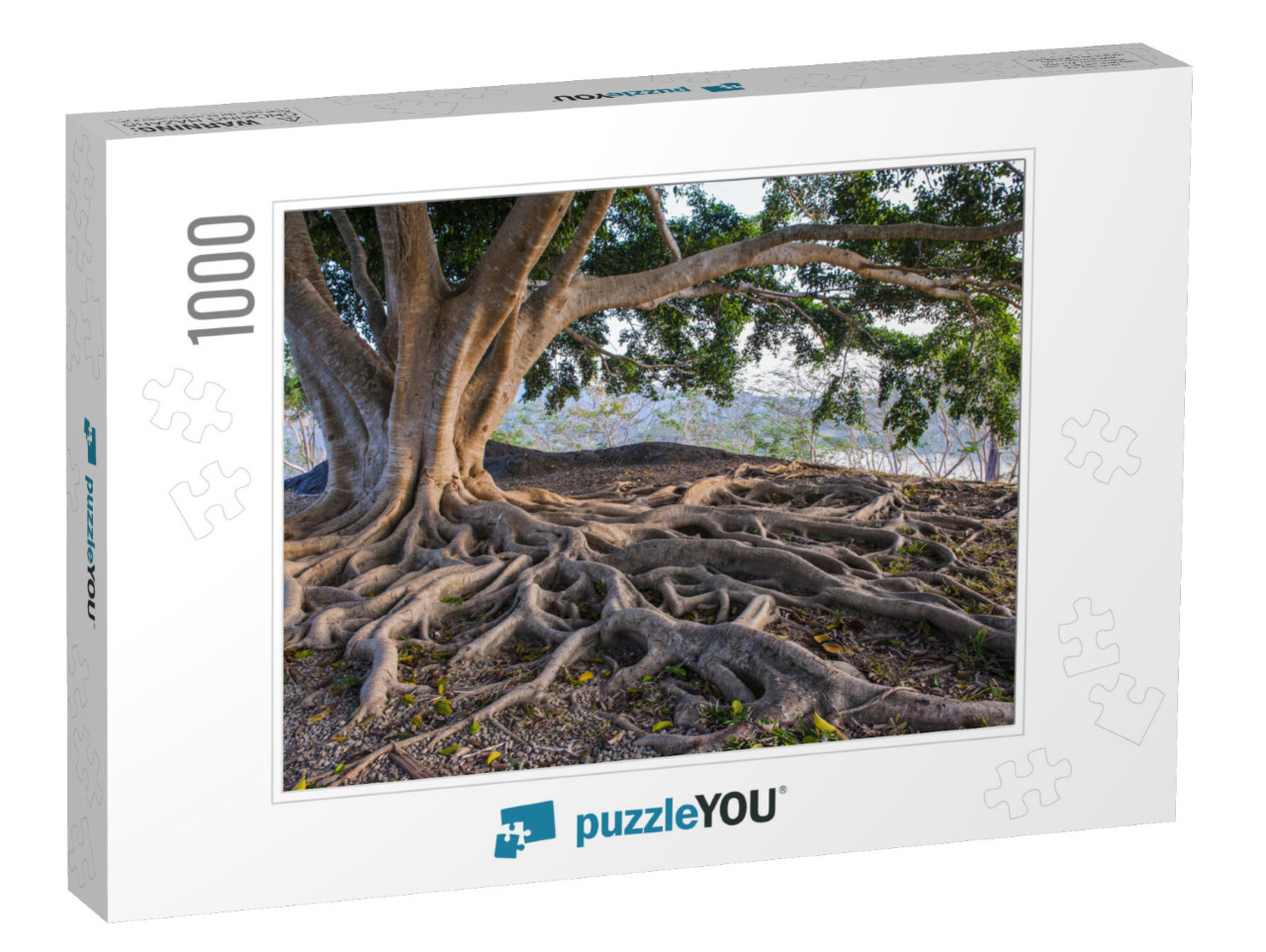 Big Tree Root... Jigsaw Puzzle with 1000 pieces