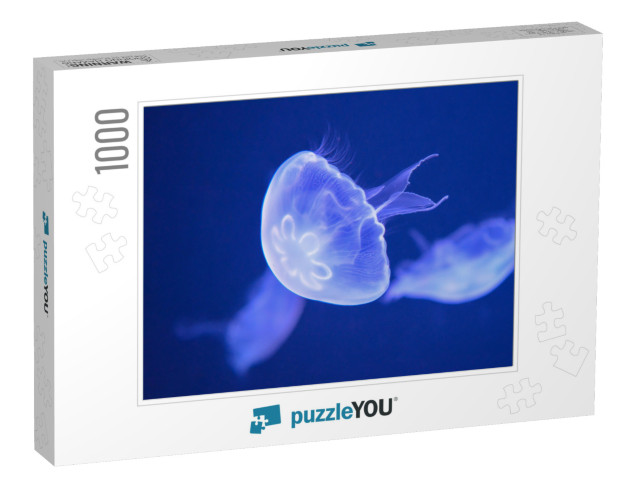 Sea Moon Jellyfish... Jigsaw Puzzle with 1000 pieces