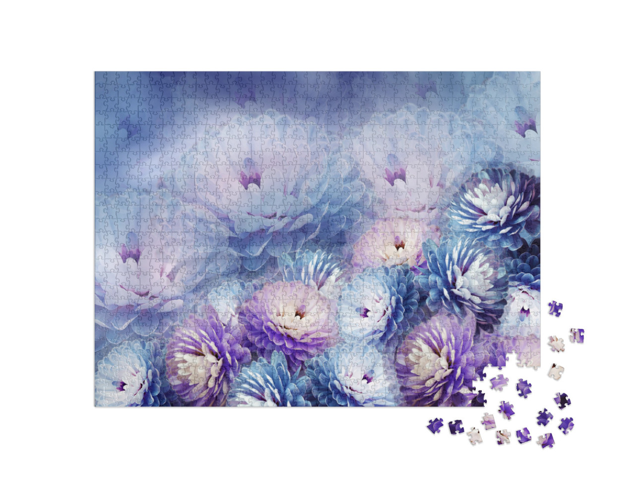 Flowers Chrysanthemum on Blurry Background. Blue-Violet B... Jigsaw Puzzle with 1000 pieces