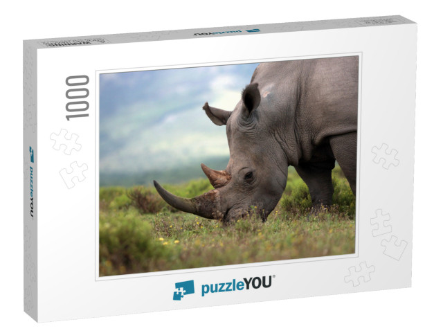 A Close Up Photo of an Endangered White Rhino / Rhinocero... Jigsaw Puzzle with 1000 pieces