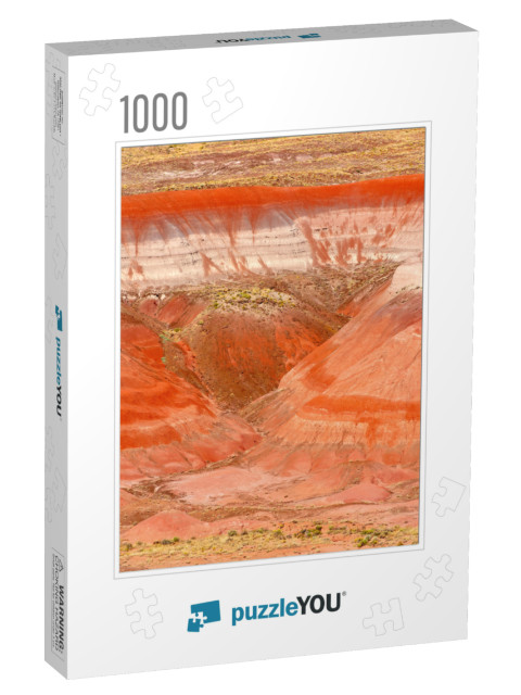 Petrified Forest National Park is in Northeastern Arizona... Jigsaw Puzzle with 1000 pieces