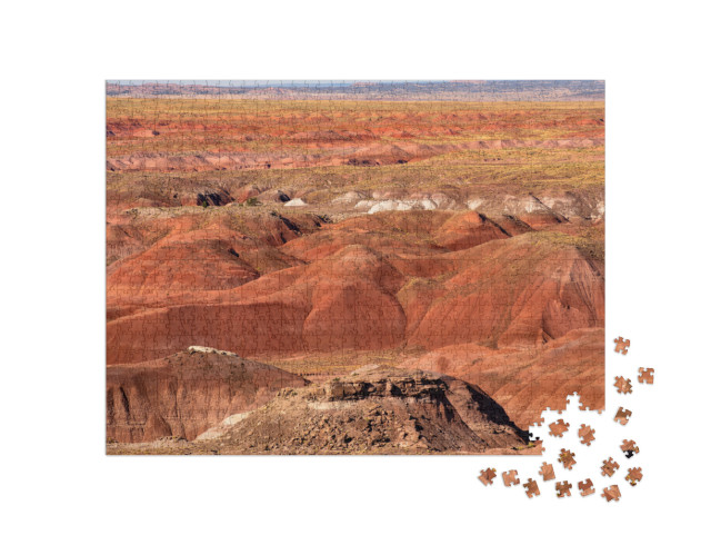 Petrified Forest National Park is in Northeastern Arizona... Jigsaw Puzzle with 1000 pieces