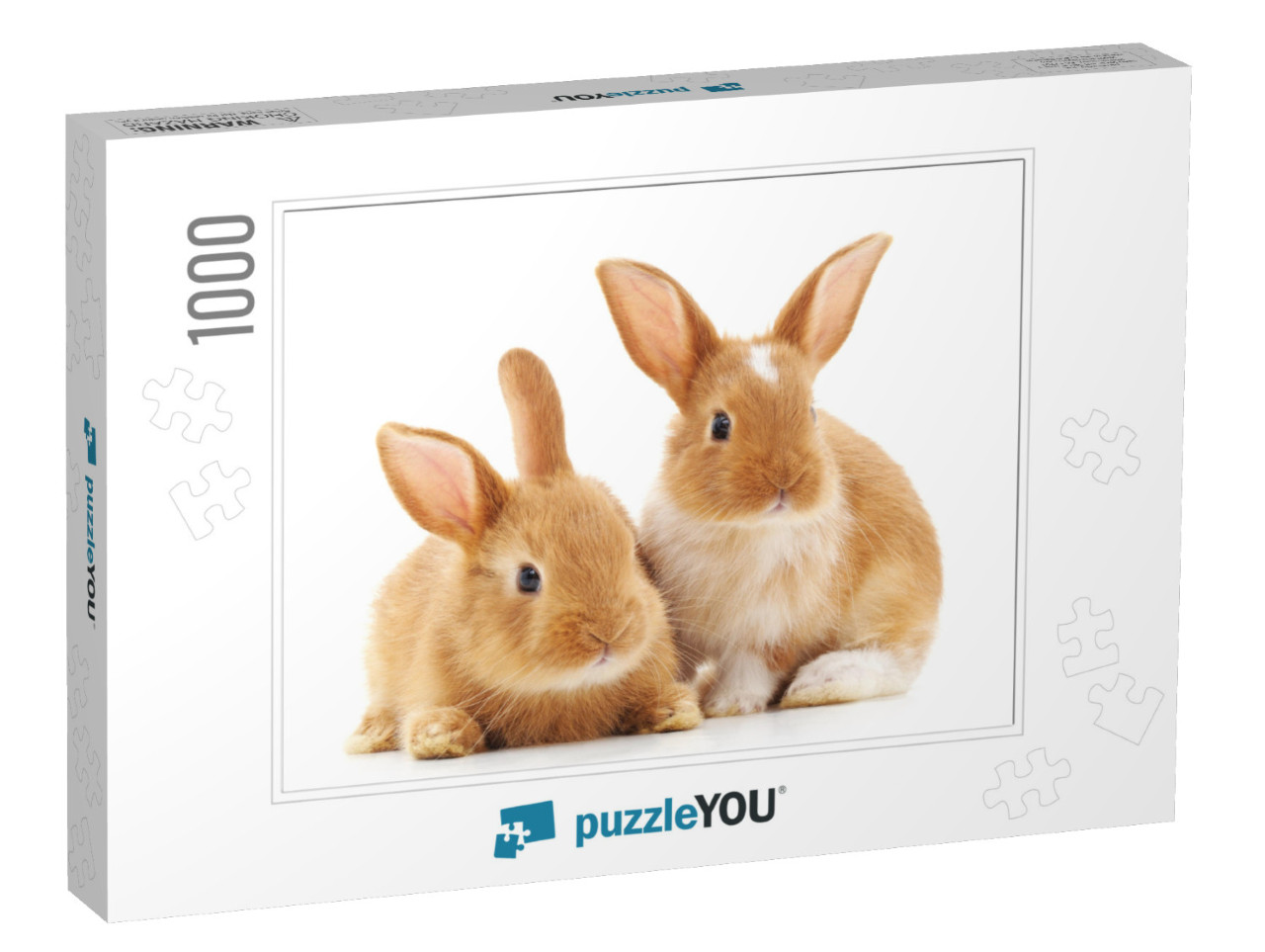 Two Small Rabbits Isolated on a White Background... Jigsaw Puzzle with 1000 pieces