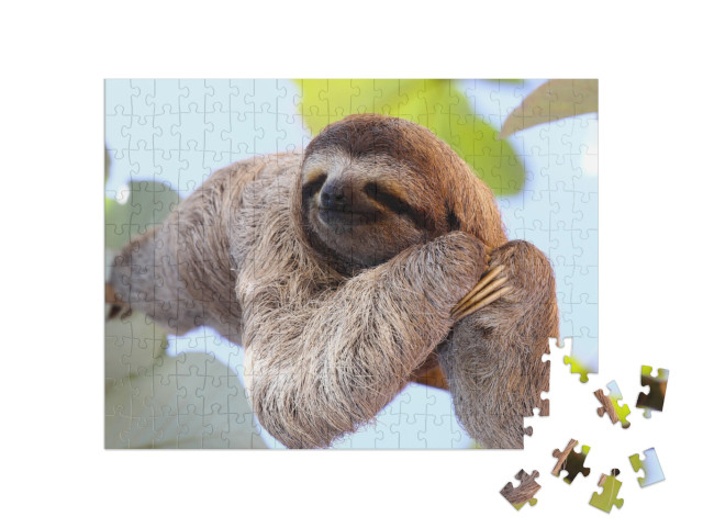 Happy Sloth Hanging on the Tree... Jigsaw Puzzle with 200 pieces