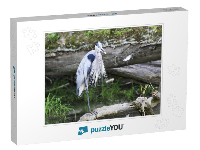 Balancing  Blue Heron Jigsaw Puzzle