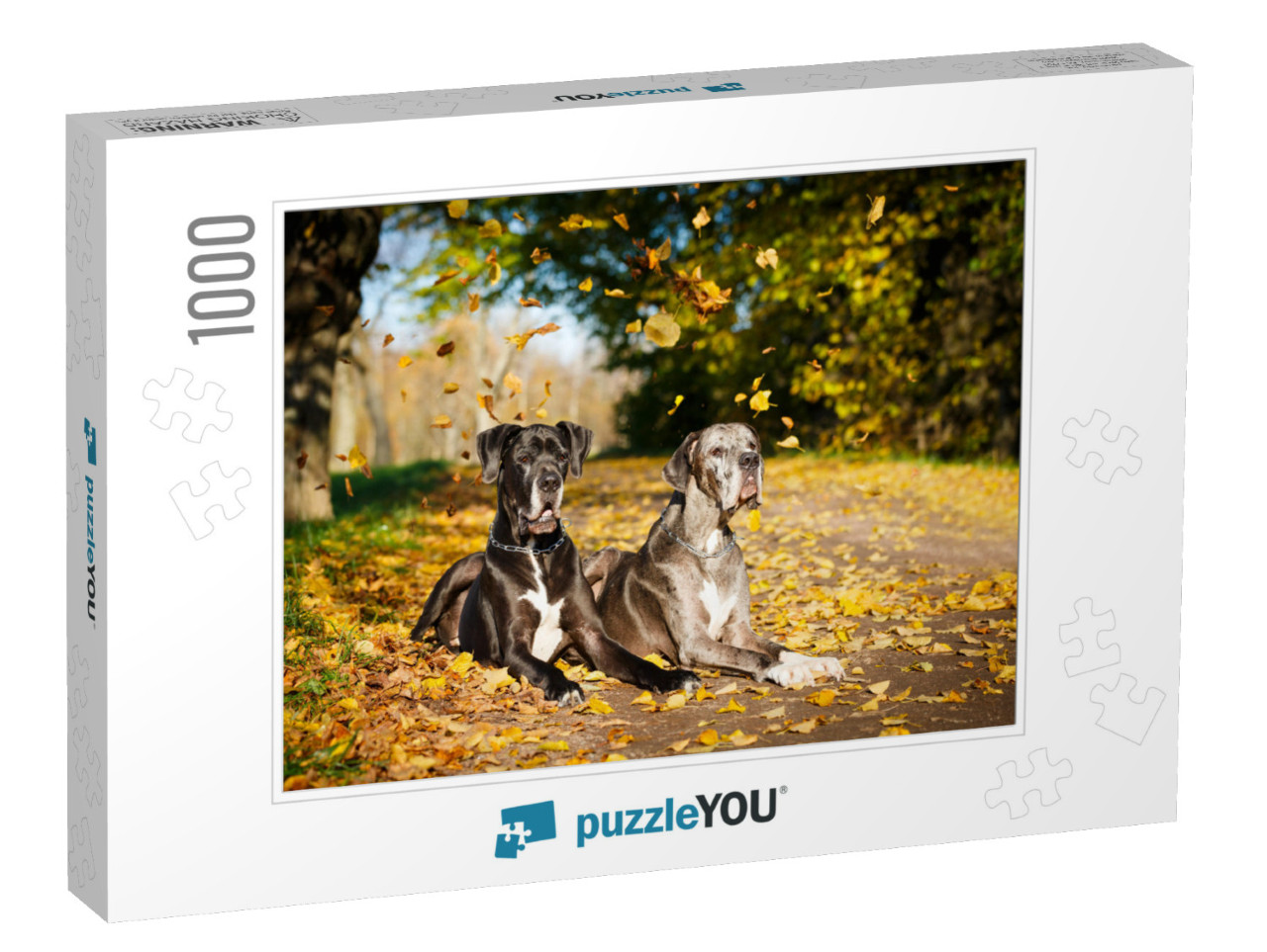 Two Great Dane Dogs... Jigsaw Puzzle with 1000 pieces