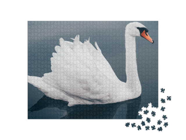 White Swan on Blue Lake, Side View Very Close-Up... Jigsaw Puzzle with 1000 pieces