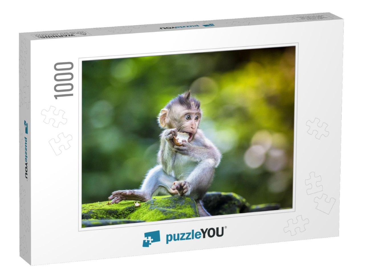 Little Baby-Monkey in Monkey Forest of Ubud, Bali, Indone... Jigsaw Puzzle with 1000 pieces