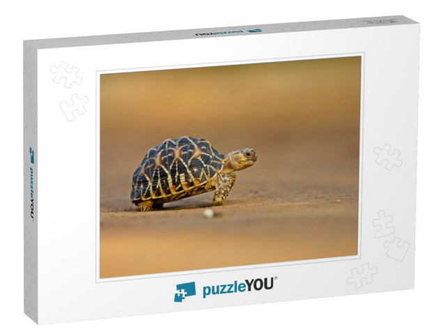 Indian Star Tortoise Side Pose... Jigsaw Puzzle