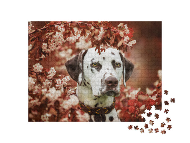 Dalmatian Dog Sitting Under a Hawthorn... Jigsaw Puzzle with 1000 pieces