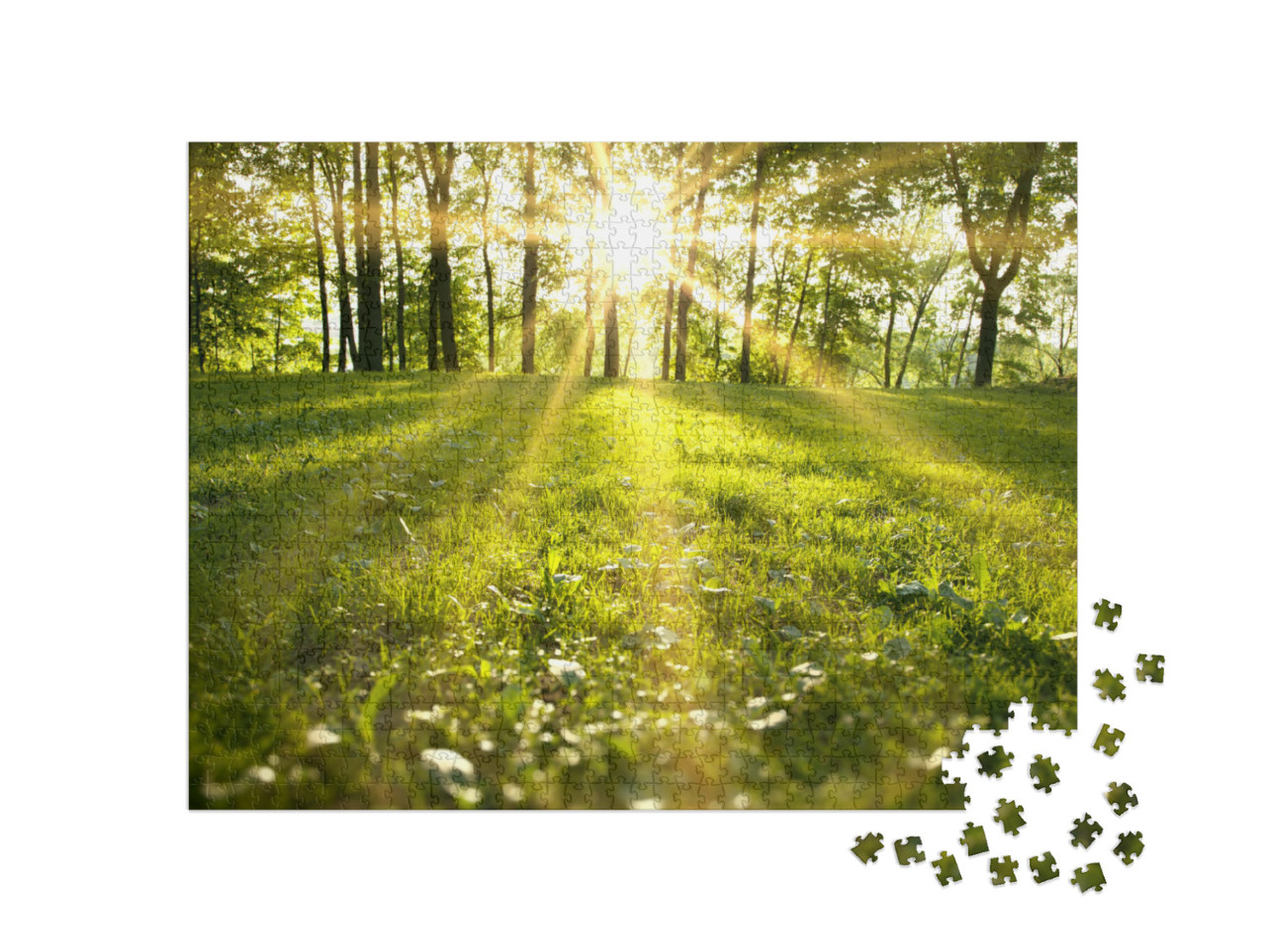 Sunlight in the Green Forest, Spring Time... Jigsaw Puzzle with 1000 pieces