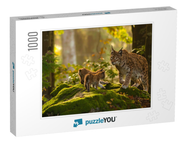 Young Lynxes... Jigsaw Puzzle with 1000 pieces