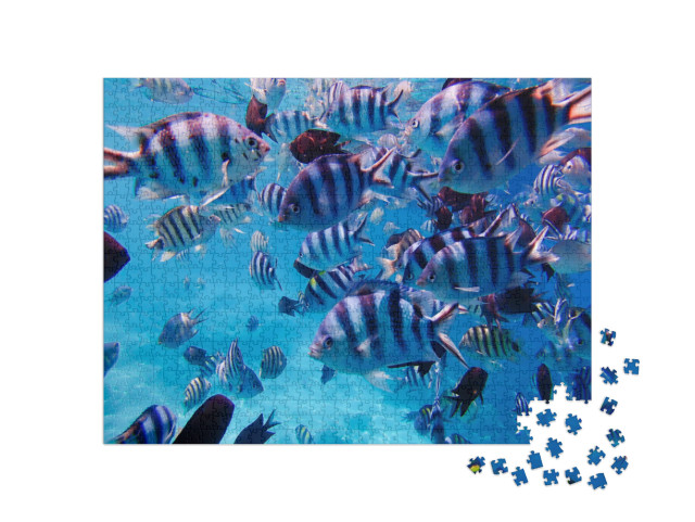 A Group of Colorful Tropical Fish Under the Water. a Colo... Jigsaw Puzzle with 1000 pieces