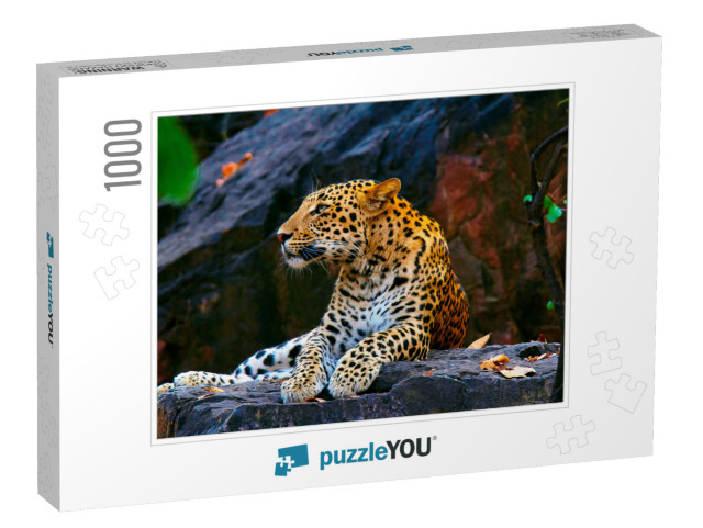 Indian Leopard, Panthera Pardus Fusca, Ranthambhore Tiger... Jigsaw Puzzle with 1000 pieces