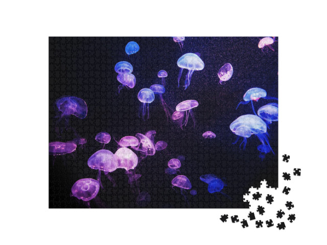 Beautiful Light Reflection on Jellyfish in the Aquarium... Jigsaw Puzzle with 1000 pieces