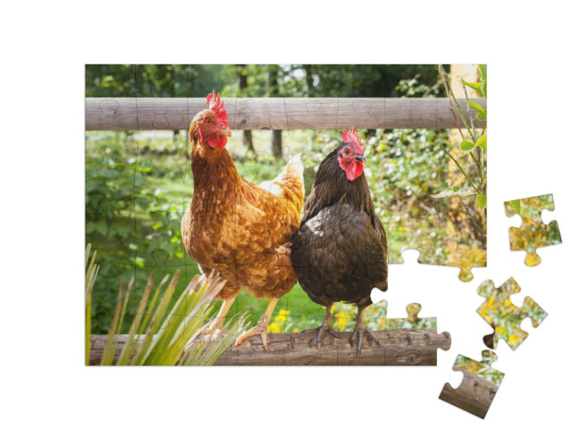 Happy Chickens... Jigsaw Puzzle with 48 pieces