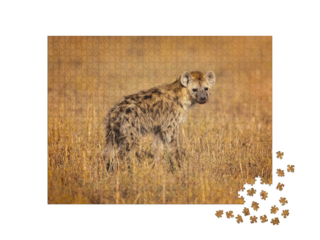 Spotted Hyena Crocuta Crocuta, Also Known as the Laughing... Jigsaw Puzzle with 1000 pieces