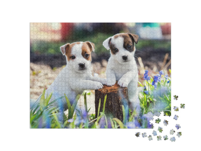 Two White Puppy Jack Russell Terrier Standing on Tree Stu... Jigsaw Puzzle with 1000 pieces