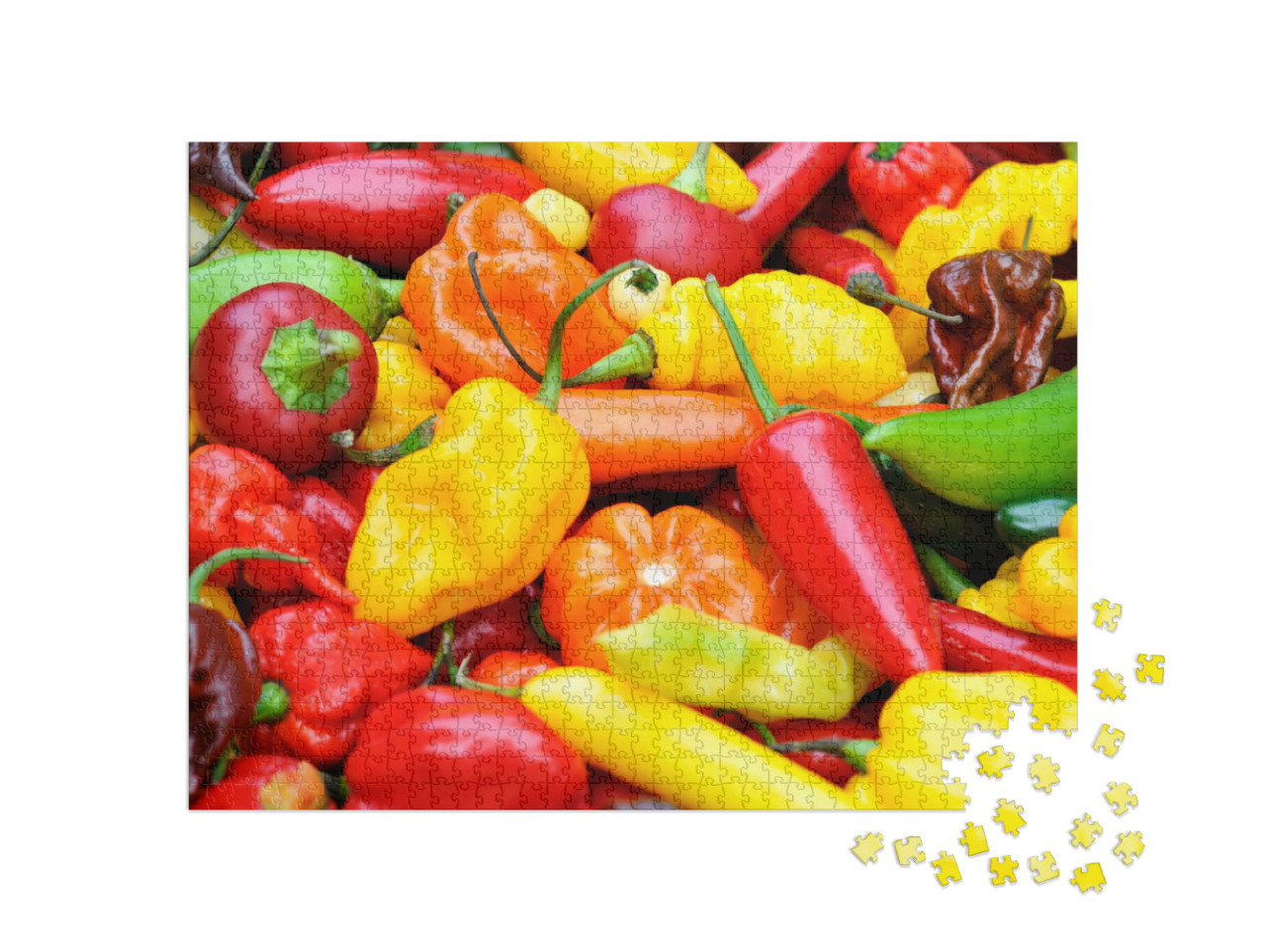 A Colorful Mix of the Freshest & Hottest Chili Peppers... Jigsaw Puzzle with 1000 pieces