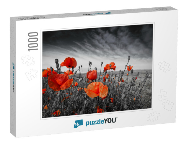 Poppies on a Meadow... Jigsaw Puzzle with 1000 pieces