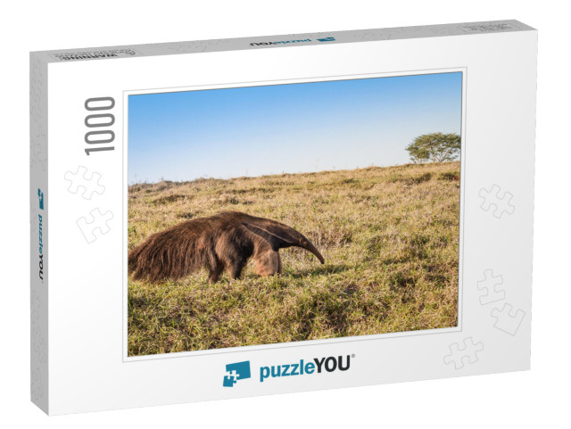 A Wild Giant Anteater At the Pasture... Jigsaw Puzzle with 1000 pieces