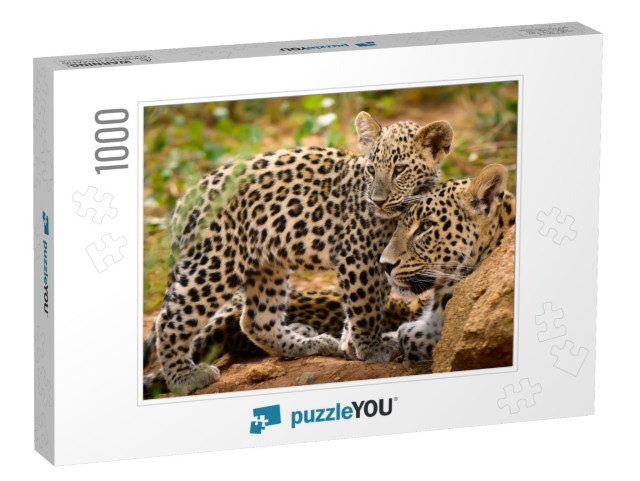 Leopard Mom & Her Cub... Jigsaw Puzzle with 1000 pieces