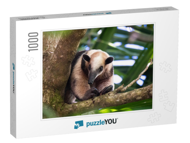 Tree Anteater Costa Rica Wild... Jigsaw Puzzle with 1000 pieces