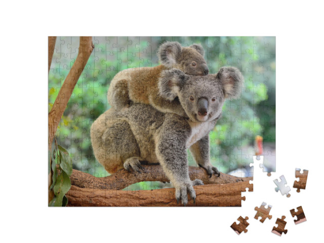 Mother Koala with Baby on Her Back, on Eucalyptus Tree... Jigsaw Puzzle with 200 pieces