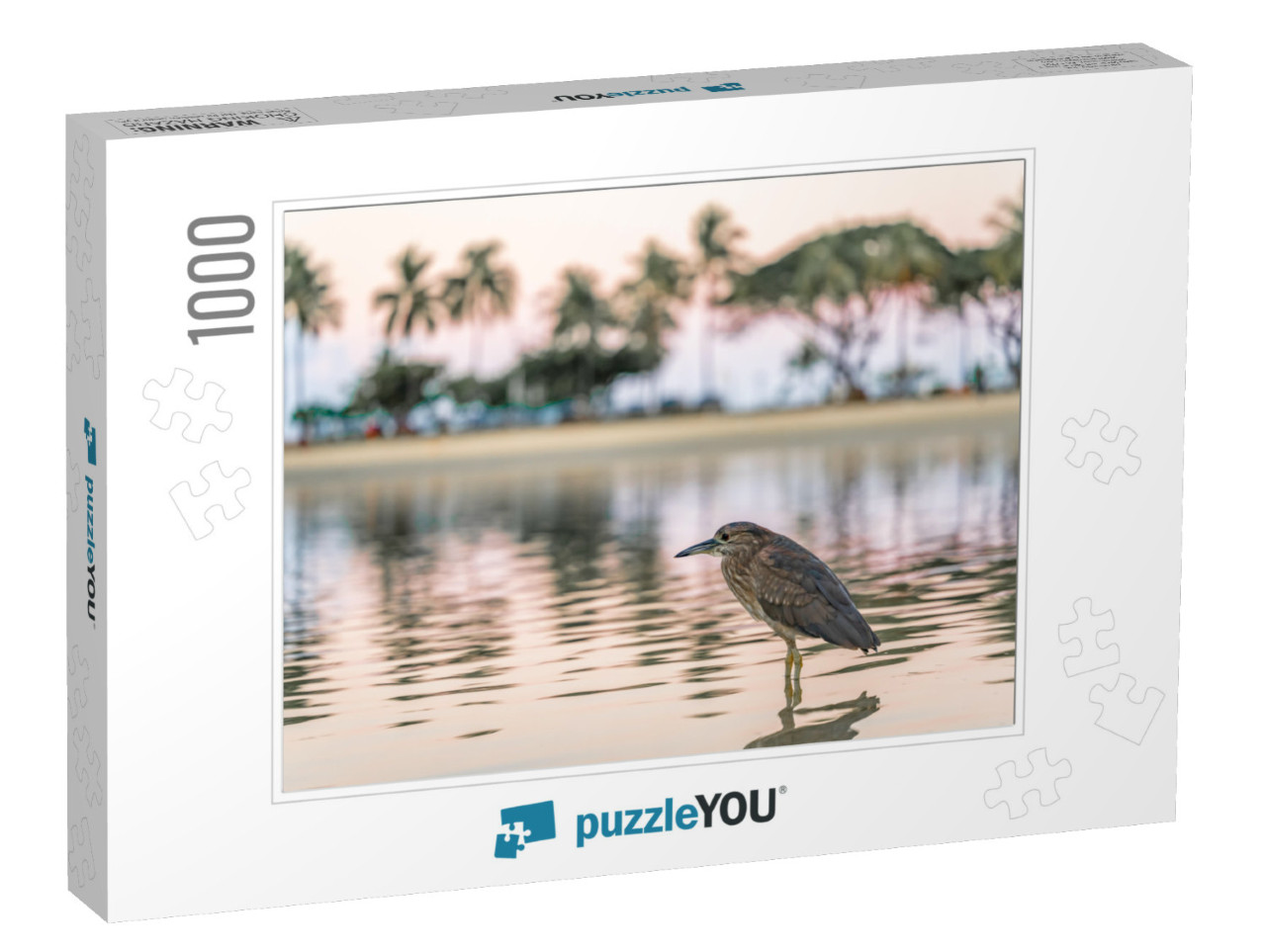 A Beautiful Bird At a Lagoon in Honolulu, Hawaii, At Waik... Jigsaw Puzzle with 1000 pieces