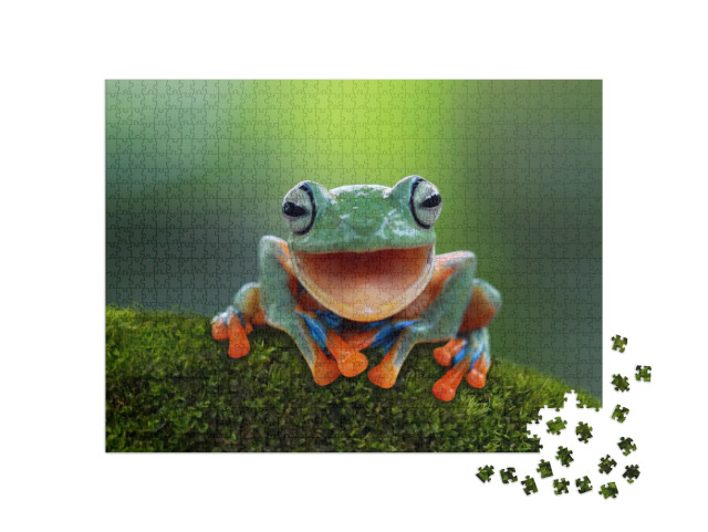 Tree Frog, Flying Frog Laughing, Animal Closeup... Jigsaw Puzzle with 1000 pieces