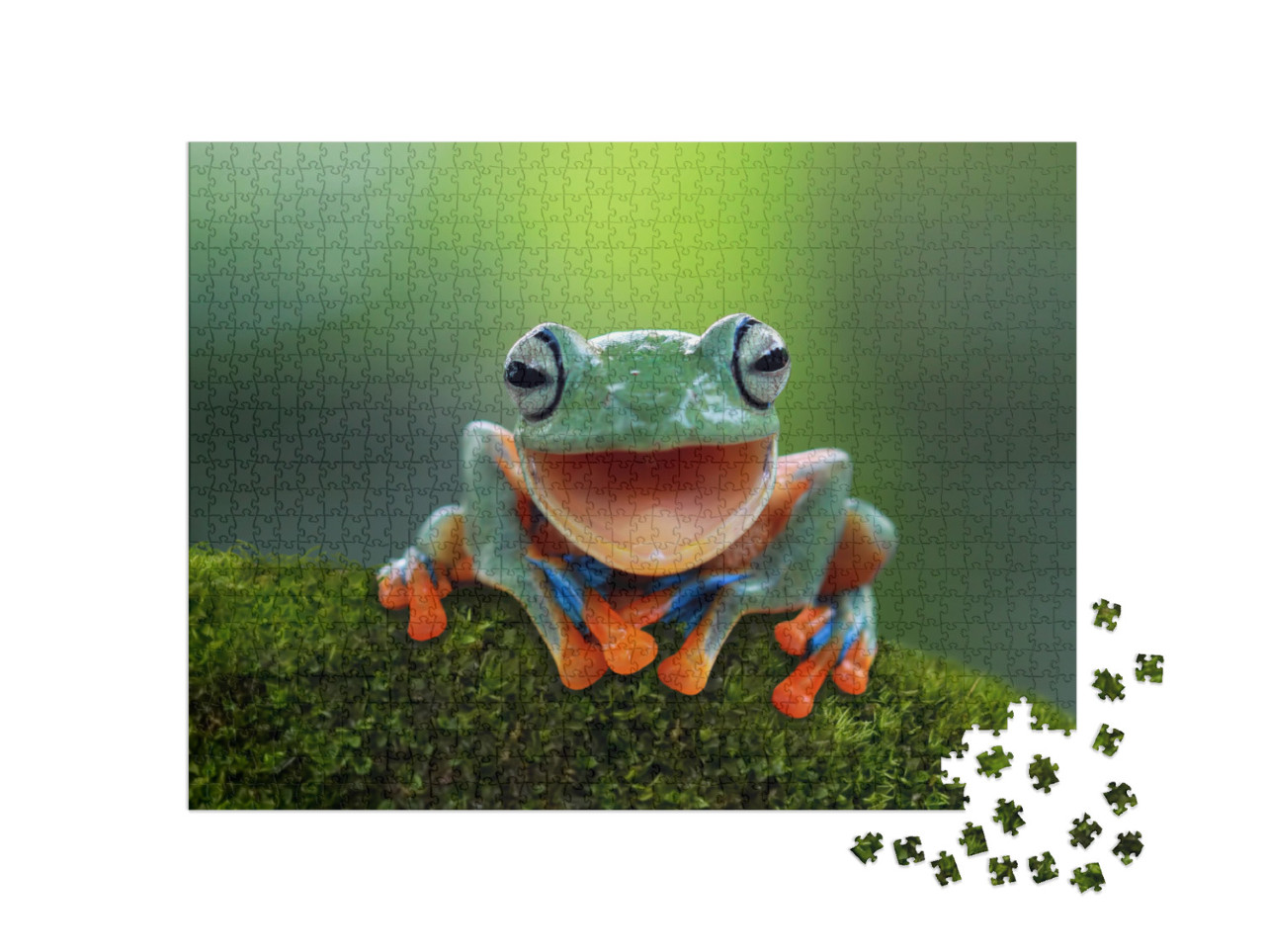 Tree Frog, Flying Frog Laughing, Animal Closeup... Jigsaw Puzzle with 1000 pieces