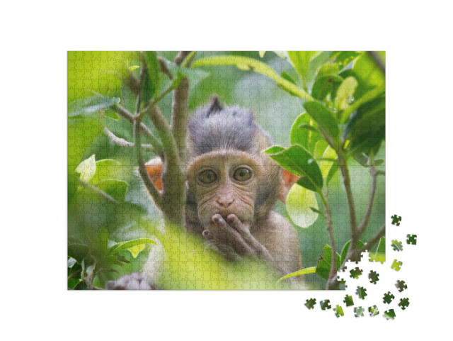 A Cute Monkey Lives in a Natural Forest of Thailand... Jigsaw Puzzle with 1000 pieces