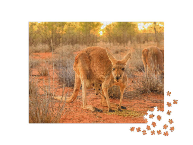 Red Female Kangaroo with a Joey in a Pocket, Macropus Ruf... Jigsaw Puzzle with 1000 pieces