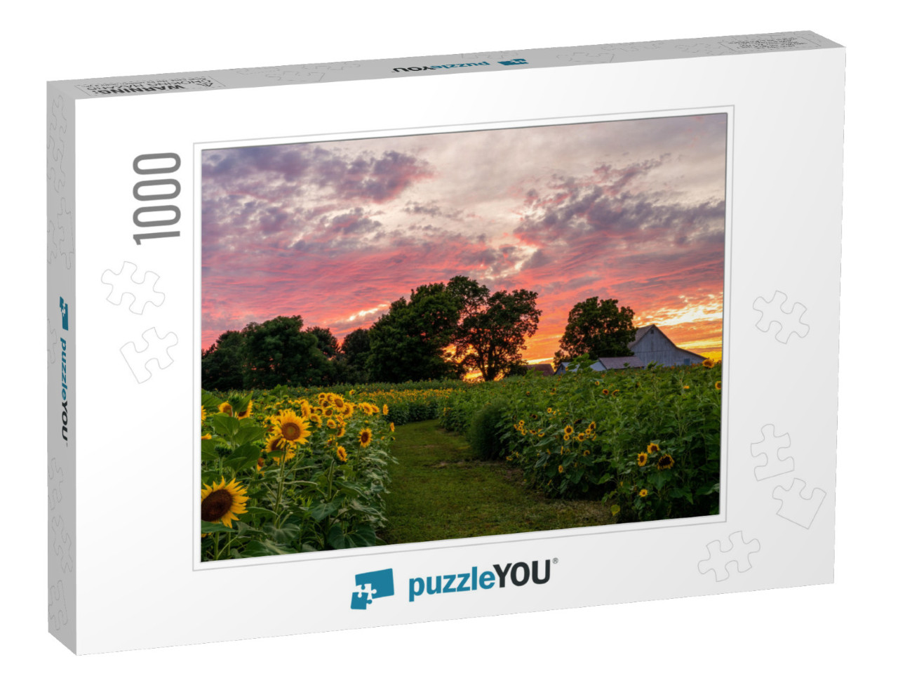 Colorful Sunset on a Rural Farm Field Full of Sunflowers... Jigsaw Puzzle with 1000 pieces