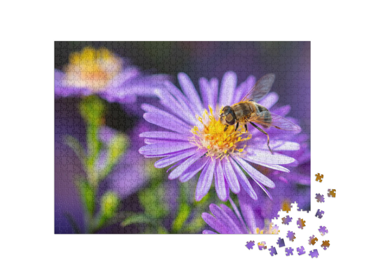 Bee on a Purple Flower. Close-Up... Jigsaw Puzzle with 1000 pieces