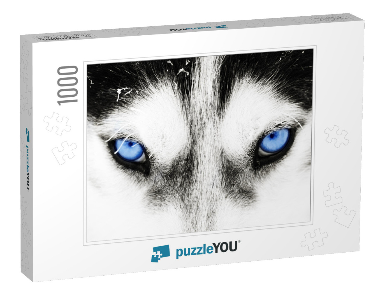 Close Up on Blue Eyes of a Husky Dog... Jigsaw Puzzle with 1000 pieces