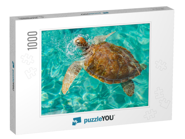 Westpunt Turtle Swimming Views Around the Caribbean Islan... Jigsaw Puzzle with 1000 pieces