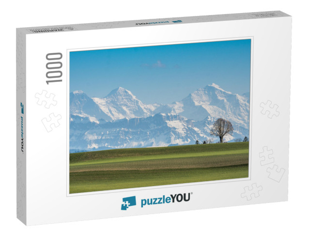 A Tree in Front of Eiger, Moench & Jungfrau on a Beautifu... Jigsaw Puzzle with 1000 pieces