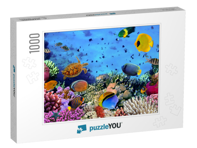 Photo of a Coral Colony, Red Sea, Egypt... Jigsaw Puzzle with 1000 pieces